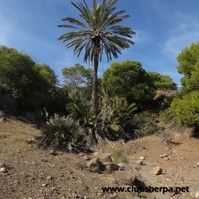 SENDERO 'RODALQUILAR-LA ISLETA'