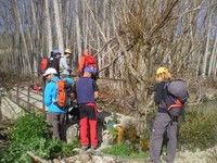 TAJOS DEL RIO CACIN (SIERRA DE ALMIJARA)