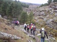 RUTA DE LOS ALAMOS CENTENARIOS (S. BAZA)