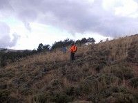 MORRÓN DE MARINÉ-MORRÓN DE LA BANDERA (Sierra de Gádor)