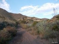 PRESILLAS BAJAS-CALDERA VOLCÁNICA DE MAJADA REDONDA-CORTIJO DE REQUENA-CORTIJADA DEL MADROÑAL (P.N. CABO DE GATA-NÍJAR)