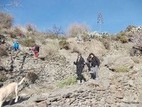 ABRUCENA-Serbal-CERRO NEGRO (S. Nevada)