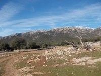 CASTRIL Tornajuelos-Morro del Buitre-Cerro Laguna