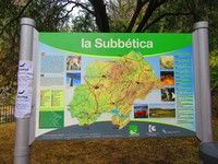 PUENTE DE MAYO EN LA SIERRA DE LA SUDBETICA, LA TIÑOSA, RIO BAILON