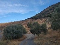 PADUL-MIRADOR PADRE FERRER-CRUZ ATALAYA-SIERRA MANAR-ERIMTA VIEJA-LA SILLETA-PRIEDRA VENTANA(SIERRA NEVADA)